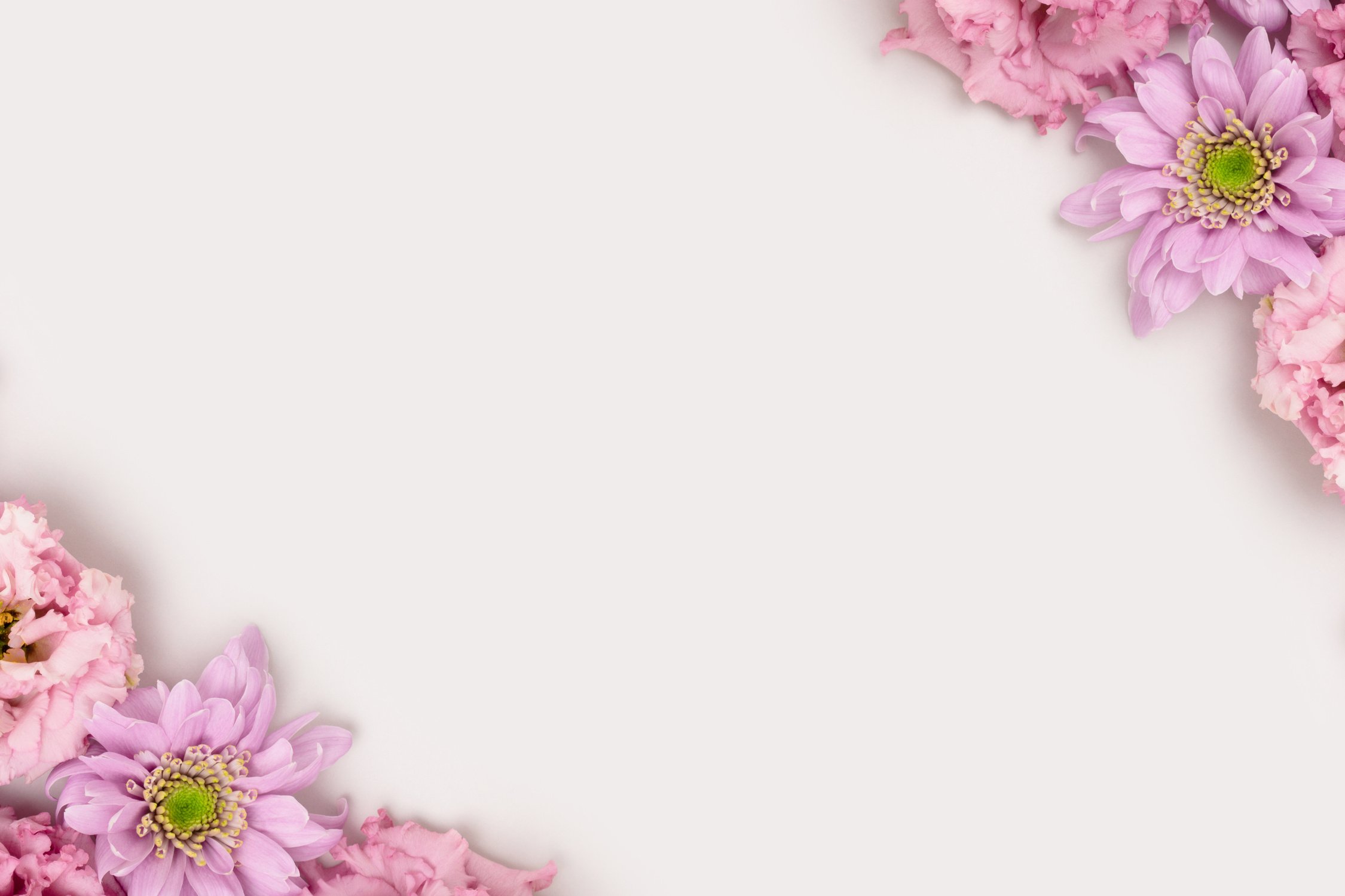 Flower Border Background